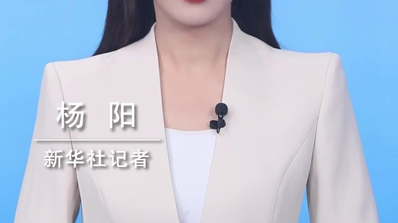 科技成果转化流程：揭秘高效转化背后的关键步骤